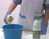 Curso online de Manipulación de Productos Químicos y de Limpieza