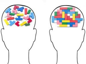 Curso de Desarrollo de la Memoria