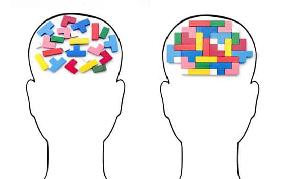 Curso de Desarrollo de la Memoria