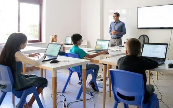 Curso online Las Competencias Clave en Educación Primaria