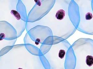Curso online de Técnicas de Cultivo Celular