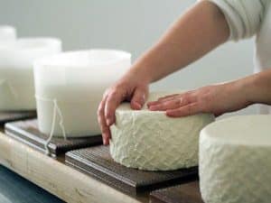 Curso online de Elaboración de Quesos