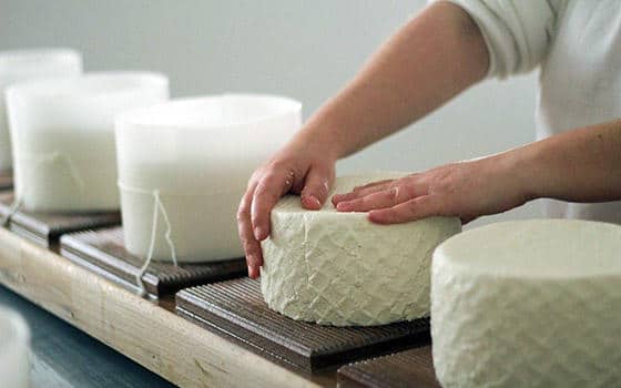 Curso online de Elaboración de Quesos