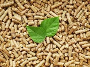 Curso online de Energía de la Biomasa